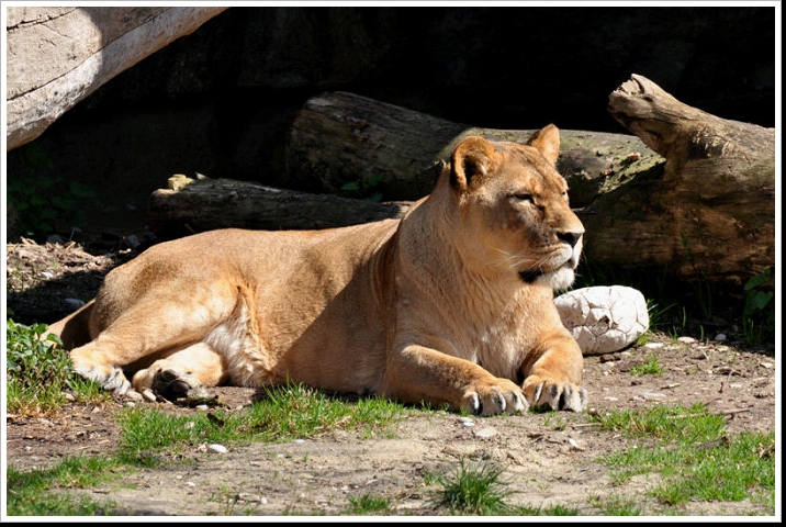 0005_DSC_3544 Hellabrunn.jpg